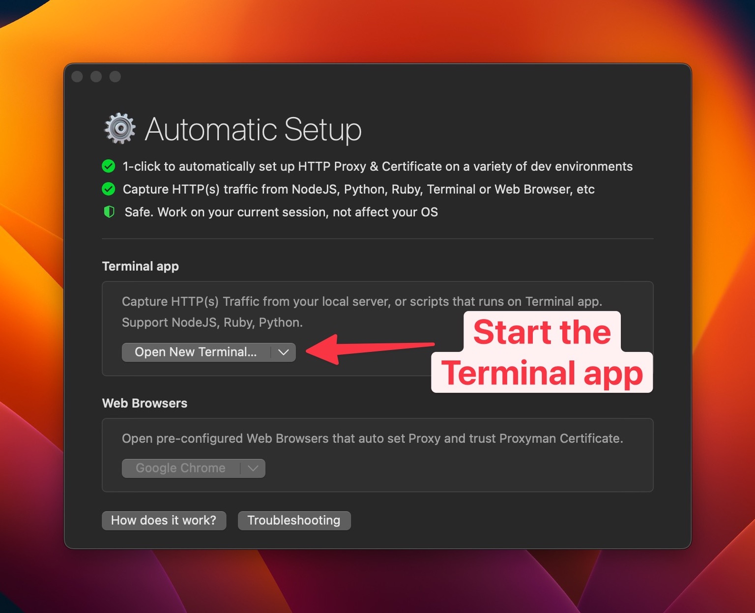 Start the Terminal with Auto Setup from Proxyman
