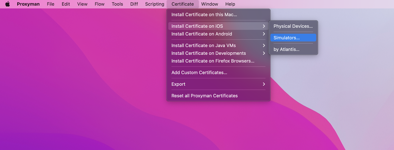 Install Proxyman Certificate on iOS Simulator